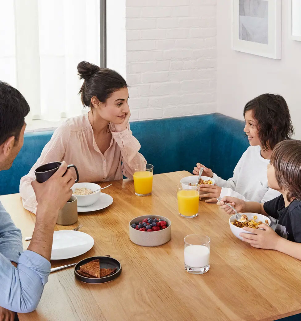Google Home Google Home