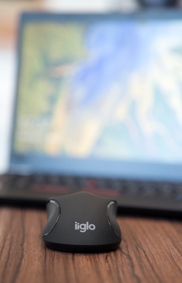 iiglo lifestyle iiglo lifestyle