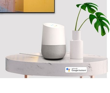 Samsung Google Assistant