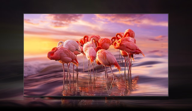 Samsung Samsung